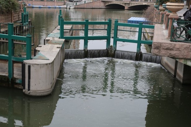 Foto - Porsuk Çayı'ndan enfes görüntüler