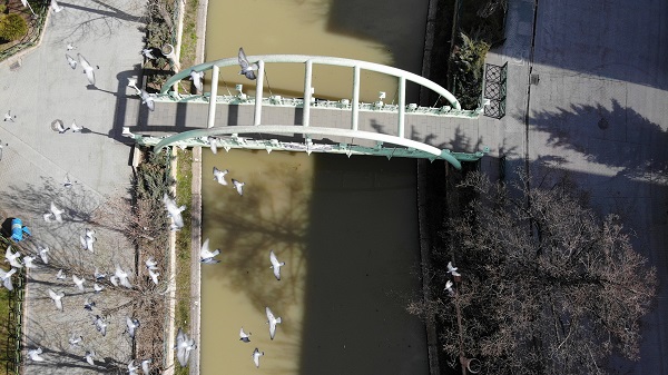 Foto - Porsuk Çayı’nın rengi değişti