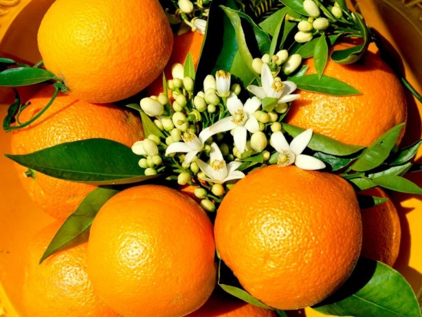 Foto - Portakal sağlık için neredeyse vazgeçilmez