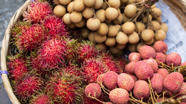 Foto - Portakal ve limondan çok daha güçlü! Bu meyveyi yiyen hasta olmuyor
