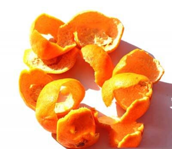 Foto - Portakalın kabuğunu yiyin!