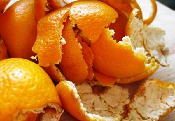 Foto - Portakalın kabuğunu yiyin!