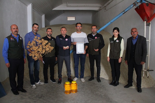 Foto - Posası da yağı da adeta altın! Hasat yapıldı 200 milyon lira kazanç bekliyorlar