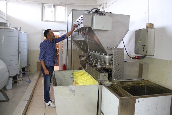 Foto - Posası da yağı da adeta altın! Hasat yapıldı 200 milyon lira kazanç bekliyorlar