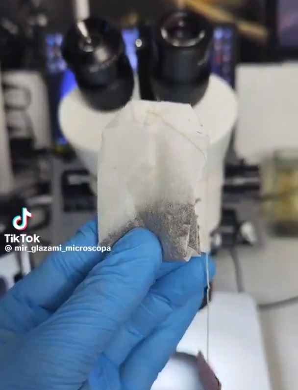 Foto - Poşet çayı mikroskopla inceledi, içinden bakın neler çıktı! Şok olacaksınız! Mideniz kaldıracaksa tıklayıp görün 