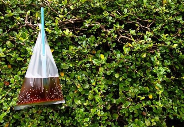 Foto - Poşetin içine ispirto koyup eve asarsanız...