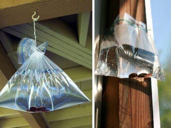 Foto - Poşetin içine ispirto koyup eve asarsanız...