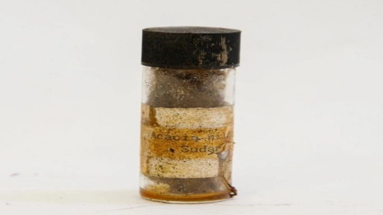 Foto - Prenses Diana’nın 34 yıl sonra çıkarılan zaman kapsülünün içindekiler şok etti! Gözlerinize inananamayacaksınız