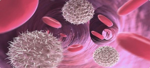  Primer İmmün Yetmezliği'nin belirtileri