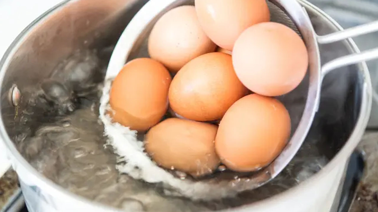 Foto - Prof. Dr. Canan Karatay: Çinliler zekasını buna borçlu diyor! Bunu kimse bilmiyor! Tek bir kaşığı yetiyor