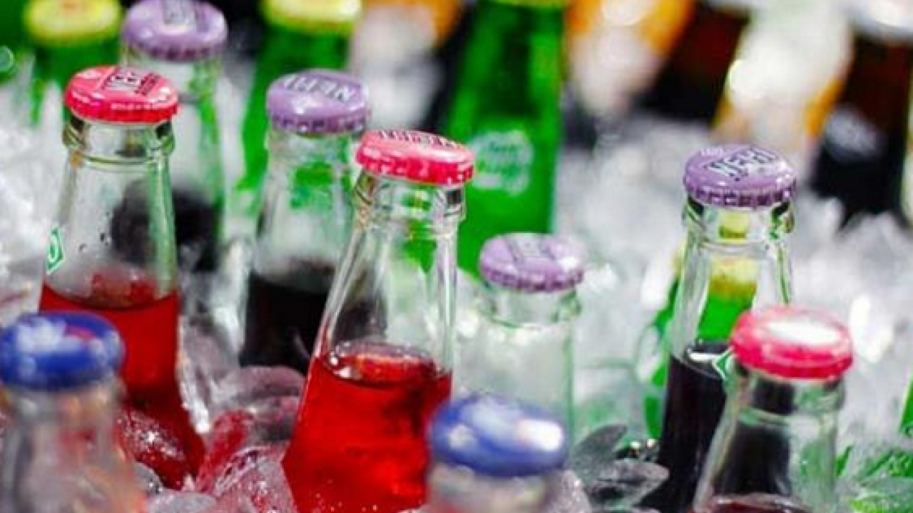 Foto - Prof. Dr. Canan Karatay ısrarla onu önerdi: Yağları şıpır şıpır eritiyor... Buna dikkat!