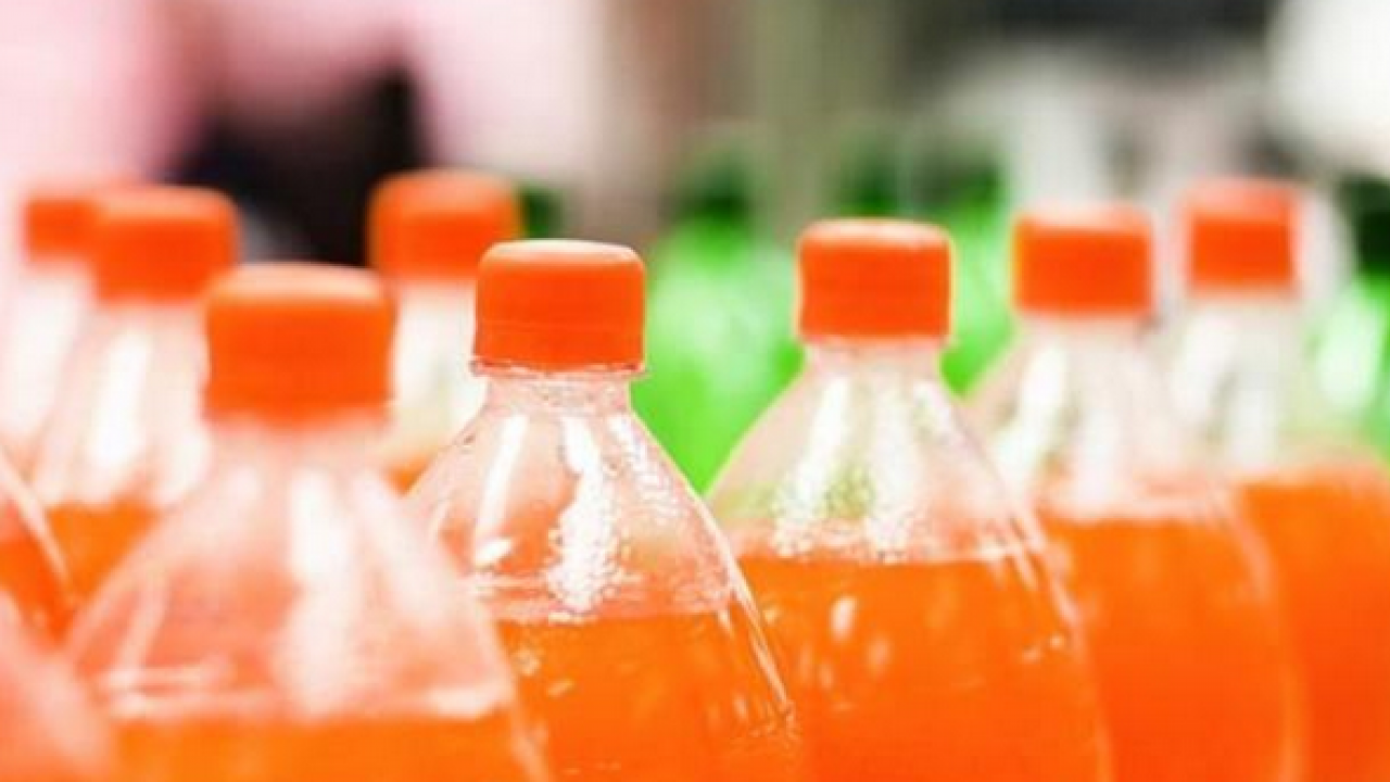 Foto - Prof. Dr. Canan Karatay ısrarla onu önerdi: Yağları şıpır şıpır eritiyor... Buna dikkat!