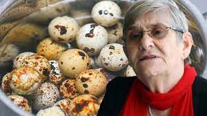 Prof. Dr. Canan Karatay zeka gerilemesini engelleyen besini açıkladı! Peş peşe açıklaması: Seçim yaparken dikkat 