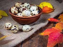 Foto - Prof. Dr. Canan Karatay zeka gerilemesini engelleyen besini açıkladı! Peş peşe açıklaması: Seçim yaparken dikkat 