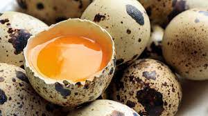 Foto - Prof. Dr. Canan Karatay zeka gerilemesini engelleyen besini açıkladı! Peş peşe açıklaması: Seçim yaparken dikkat 