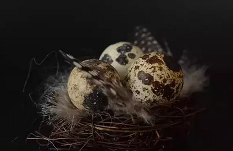 Prof. Dr. Canan Karatay zeka gerilemesini engelleyen besini açıkladı: Yapan bomba gibi olacak! İşte bu...