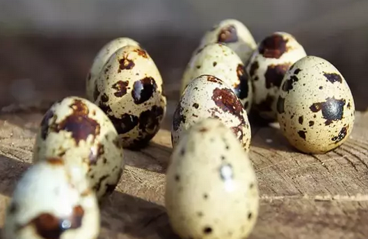 Foto - Prof. Dr. Canan Karatay zeka gerilemesini engelleyen besini açıkladı: Yapan bomba gibi olacak! İşte bu...