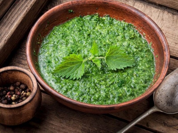 Foto - Prof. Dr. İbrahim Saraçoğlu, sır gibi sakladığı besini açıkladı! "5 besin seçme hakkım olsa ilk tercihim olurdu" deyip duyurdu! Bu besini tüketene hastalık bir daha uğramıyor