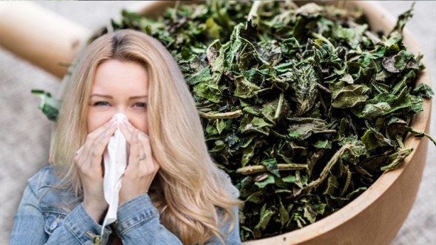 Foto - Prof. Dr. İbrahim Saraçoğlu, sır gibi sakladığı besini açıkladı! "5 besin seçme hakkım olsa ilk tercihim olurdu" deyip duyurdu! Bu besini tüketene hastalık bir daha uğramıyor