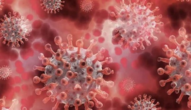 Foto - Prof. Dr. Mehmet Ceyhan’dan 'X Hastalığı' yorumu