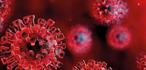 Foto - Prof. Dr. Mehmet Ceyhan’dan 'X Hastalığı' yorumu