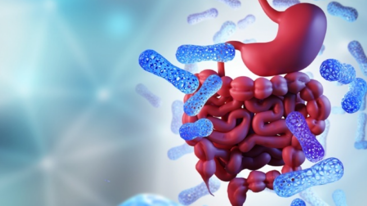 Foto - Prof. Dr. Murat Baş: Sağlıklı bir cilt için önce bağırsaklarınızı iyileştirin diyor! 