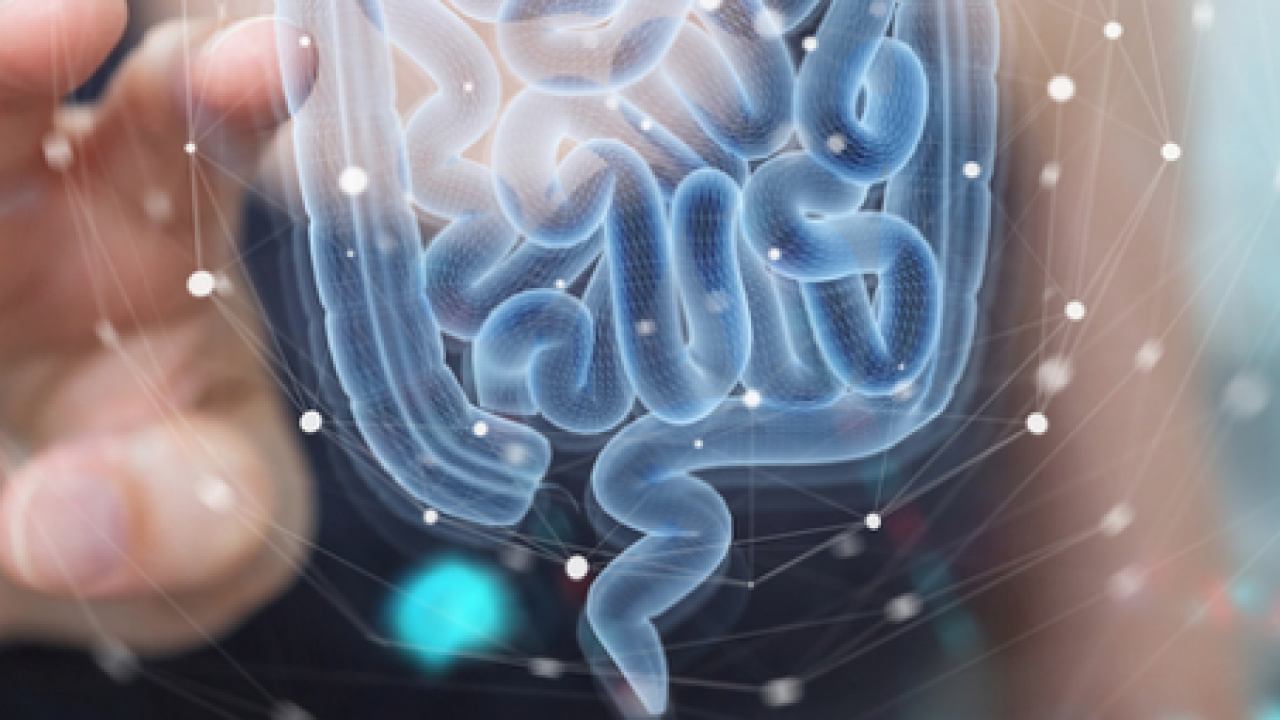 Foto - Prof. Dr. Murat Baş: Sağlıklı bir cilt için önce bağırsaklarınızı iyileştirin diyor! 