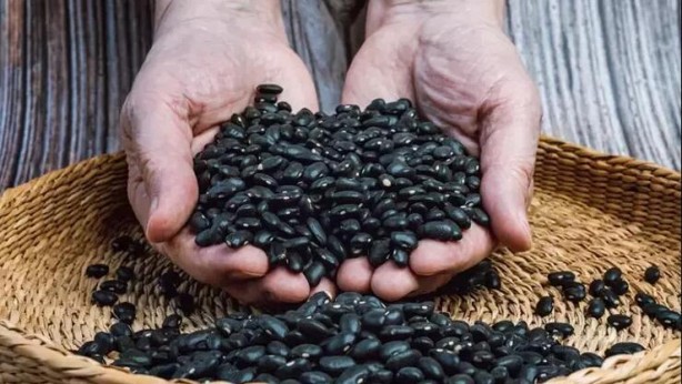 Prof. Dr. Osman Müftüoğlu önerdi: Vücudu magnezyum, kalsiyum, çinko ile dolduruyor!