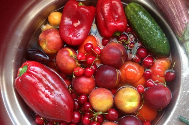 Foto - Prof. Dr. Topuz'dan altın değerinde tavsiyeler