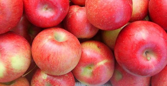 Foto - Prof. Dr. Topuz'dan altın değerinde tavsiyeler