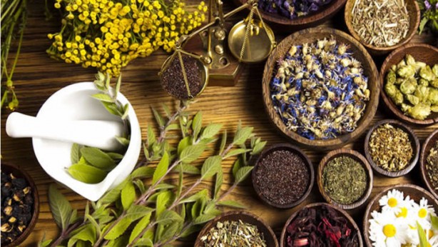 Foto - Prof. Dr. Topuz'dan altın değerinde tavsiyeler