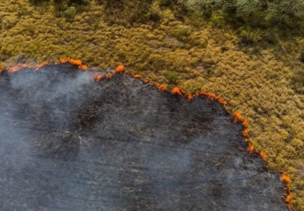 Foto - Profesörden korkutan sözler: Kavrulacağız