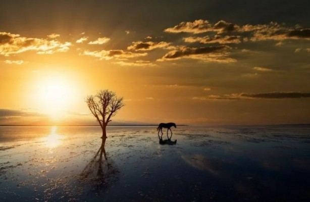 Profesörden korkutan sözler: Kavrulacağız