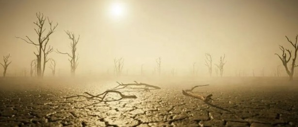 Foto - Profesörden korkutan sözler: Kavrulacağız