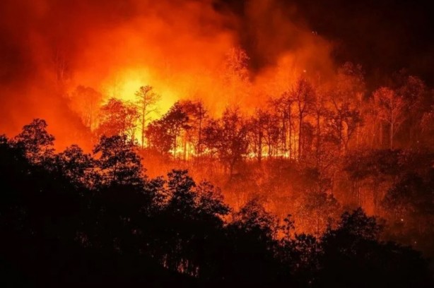Foto - Profesörden korkutan sözler: Kavrulacağız
