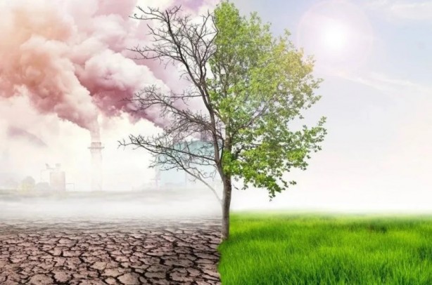 Foto - Profesörden korkutan sözler: Kavrulacağız