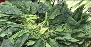 Foto - Profesörden Türkiye’ye olay sözler: Faydalarını açıkladı ama ısıtıldığı zaman zehirliyor! Sofranıza bile koymayın