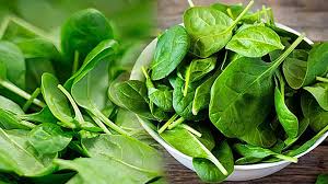 Foto - Profesörden Türkiye’ye olay sözler: Faydalarını açıkladı ama ısıtıldığı zaman zehirliyor! Sofranıza bile koymayın