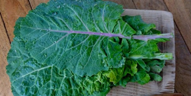 Foto - Proteinden zengin 9 sebze