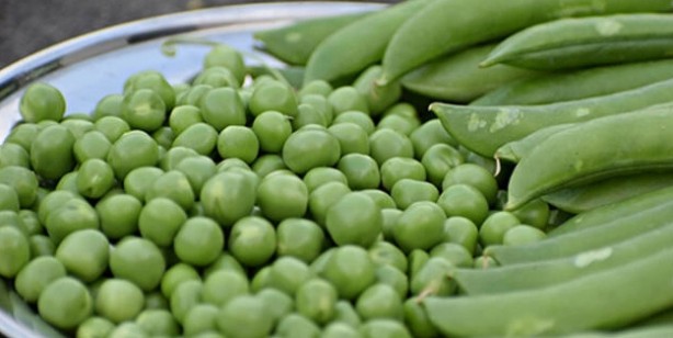 Foto - Proteinden zengin 9 sebze