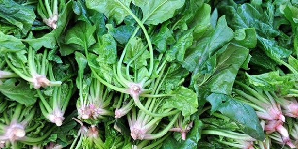 Foto - Proteinden zengin 9 sebze