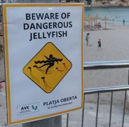 Foto - Protestolar dünyaya yayılıyor! Kimse turist istemiyor! Peki sebep ne?