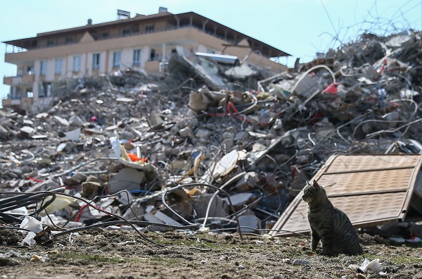 Psikolojik sorunlar bu durumu tetikliyor| Depremden sonra bu yüzden kilo alınıyor