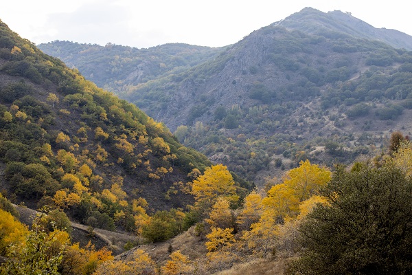 Foto - Pülümür Vadisi'nde sonbahar güzelliği