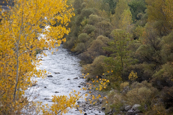Pülümür Vadisi'nde sonbahar güzelliği