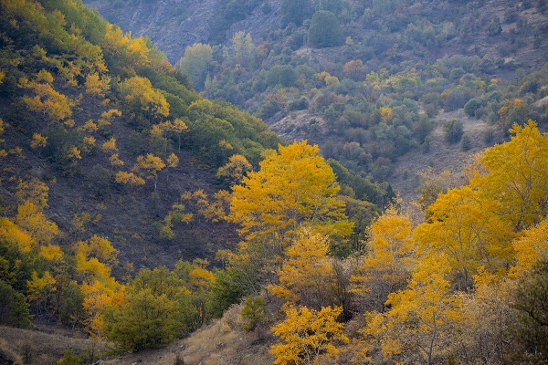 Foto - Pülümür Vadisi'nde sonbahar güzelliği