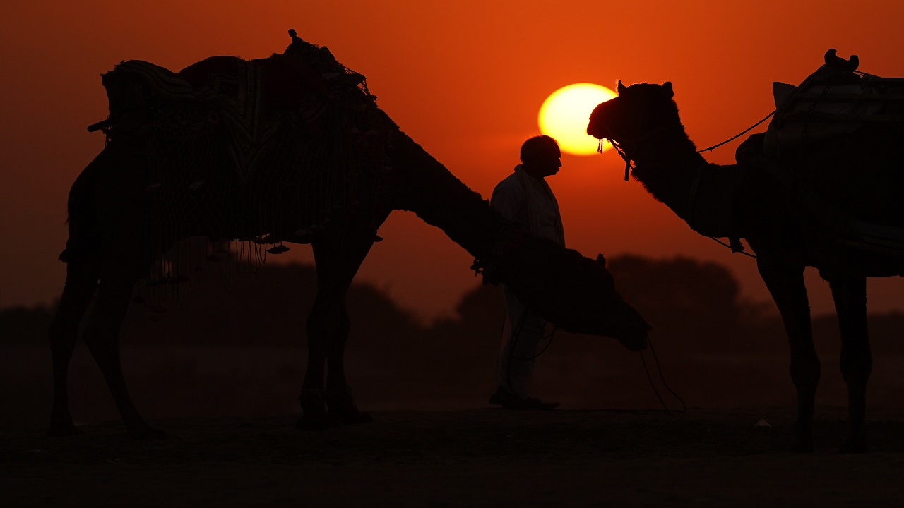 Foto - Pushkar Çölü'nde gün batımı! Altın kumlar üzerinde masalsı yolculuk
