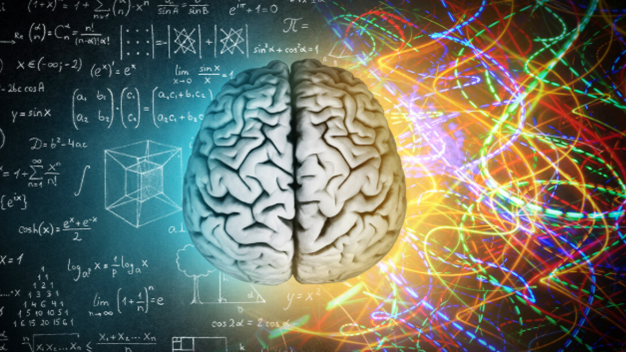 Foto - Putin ve Şi ne demek istedi? Gençlik aşısını buldular mı? Beyinsiz bedenler, domuz ve organları