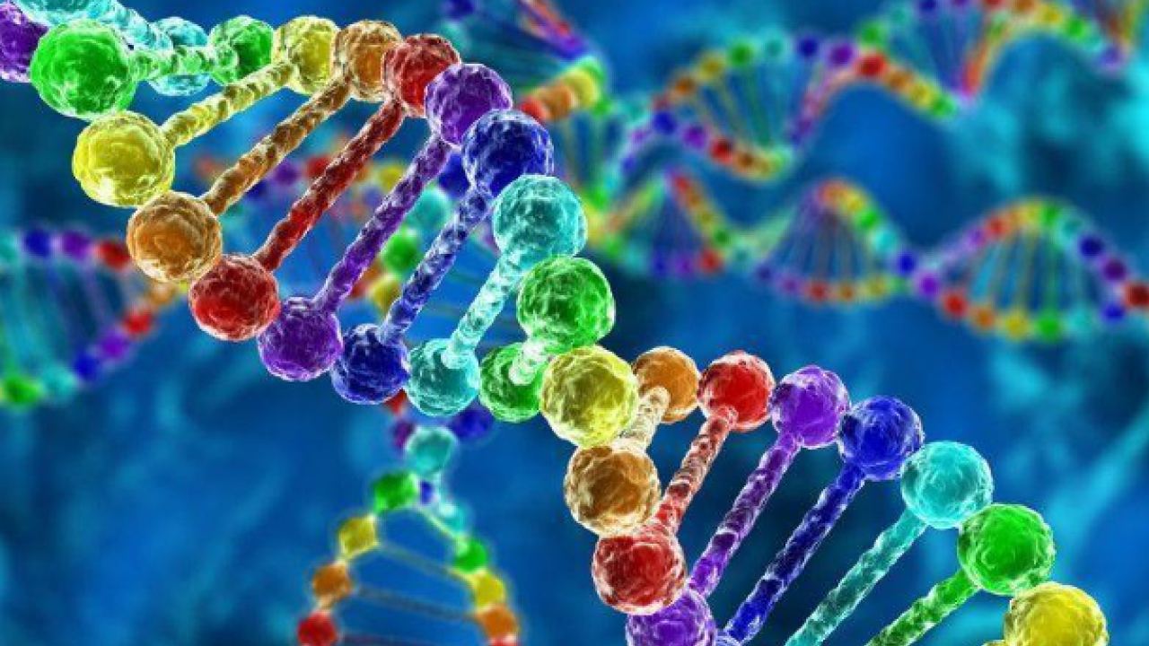 Foto - Putin ve Şi ne demek istedi? Gençlik aşısını buldular mı? Beyinsiz bedenler, domuz ve organları