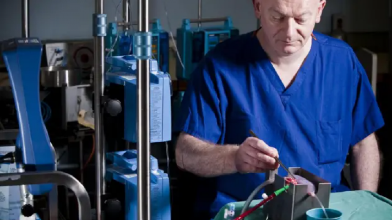 Foto - Putin ve Şi ne demek istedi? Gençlik aşısını buldular mı? Beyinsiz bedenler, domuz ve organları